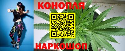 крисы Ирбит