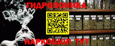 крисы Ирбит