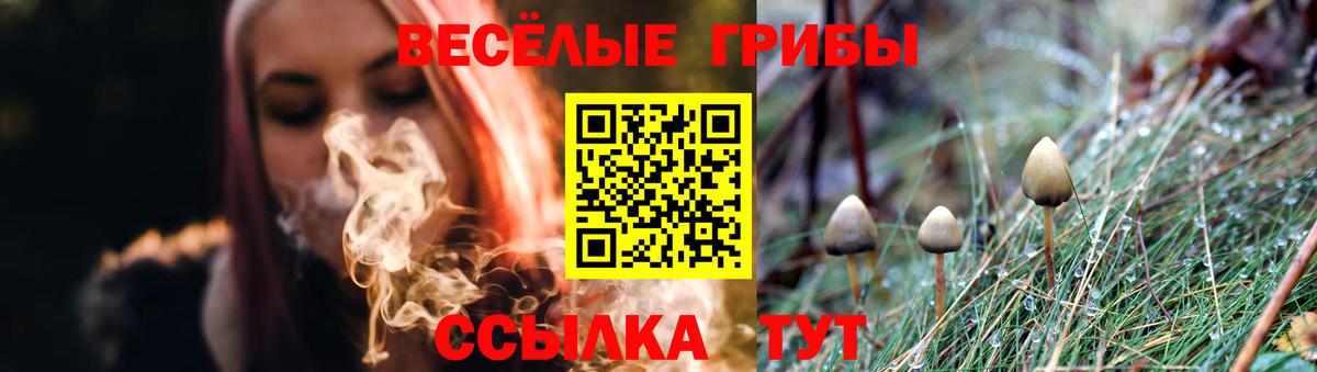 Галлюциногенные грибы GOLDEN TEACHER  Галлюциногенные грибы MAGIC MUSHROOMS  Вход с VPN  Мичуринск 